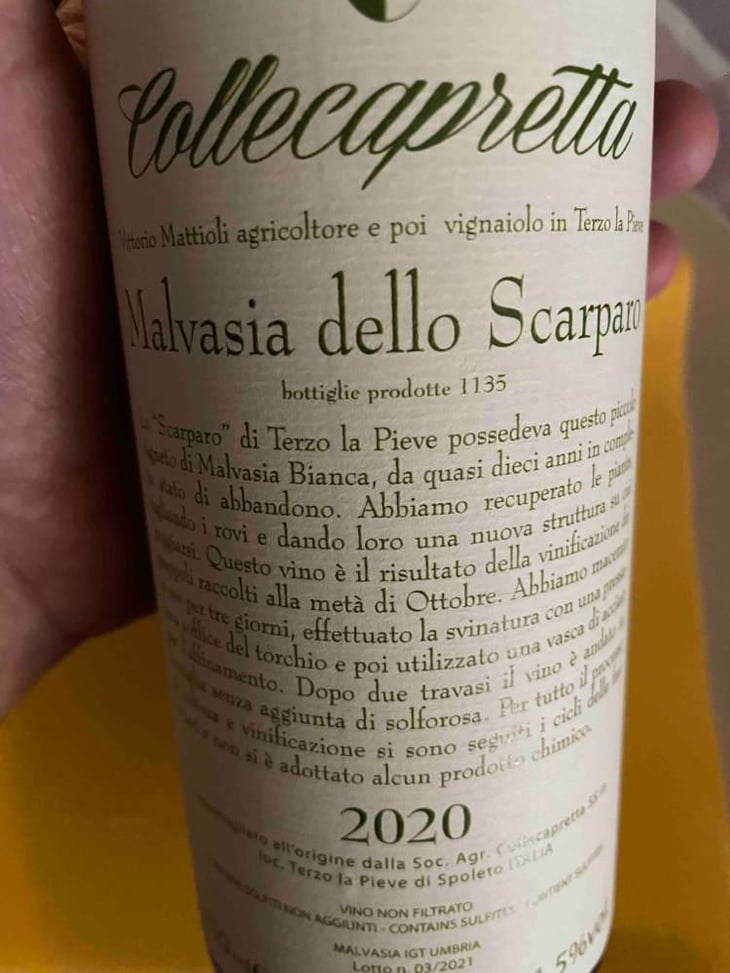 Malvasia Dello Scarparo - Collecapretta - Anna & Vittorio Mattioli 