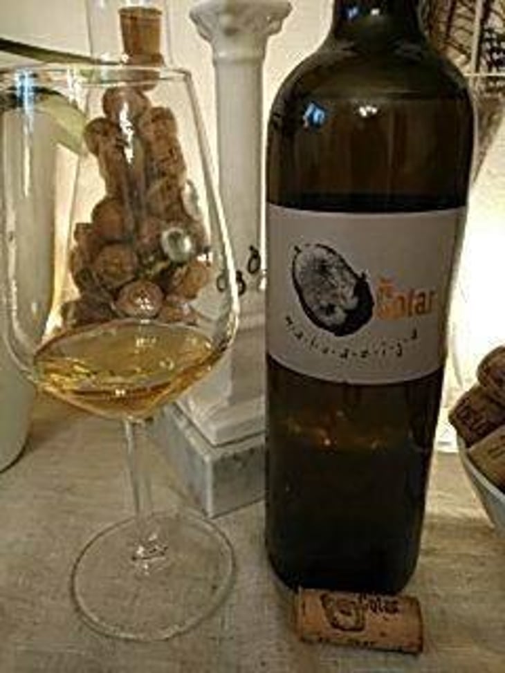 Malvazija - Čotar - Branko & Vasja Čotar 