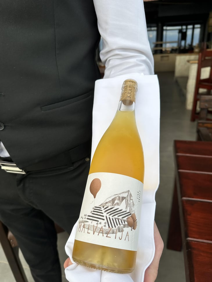 Malvazija - Vina Krapež - Martin Krapež -2019