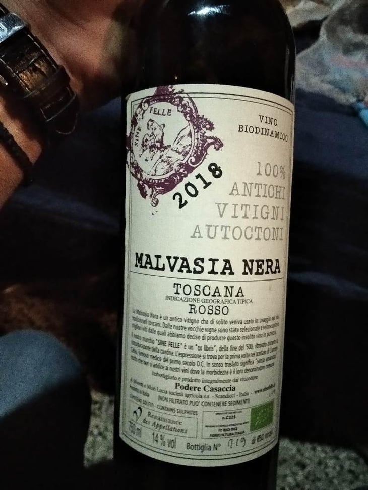 Malvasia Nera - Podere Casaccia Sine Felle - Roberto Moretti 