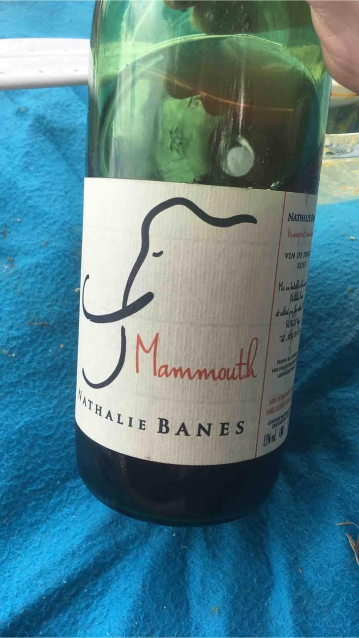 Mammouth - Nathalie Banes - Nathalie Banes 