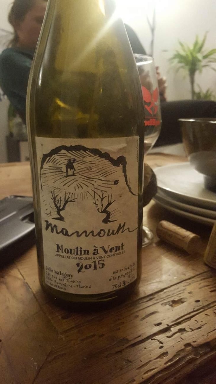 Mamouth Moulin à Vent - Julie Balagny - Julie Balagny 