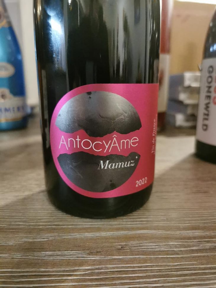 Mamuz - AntocyÂme - Muriel Zoldan 