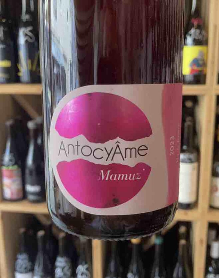 Mamuz - AntocyÂme - Muriel Zoldan 