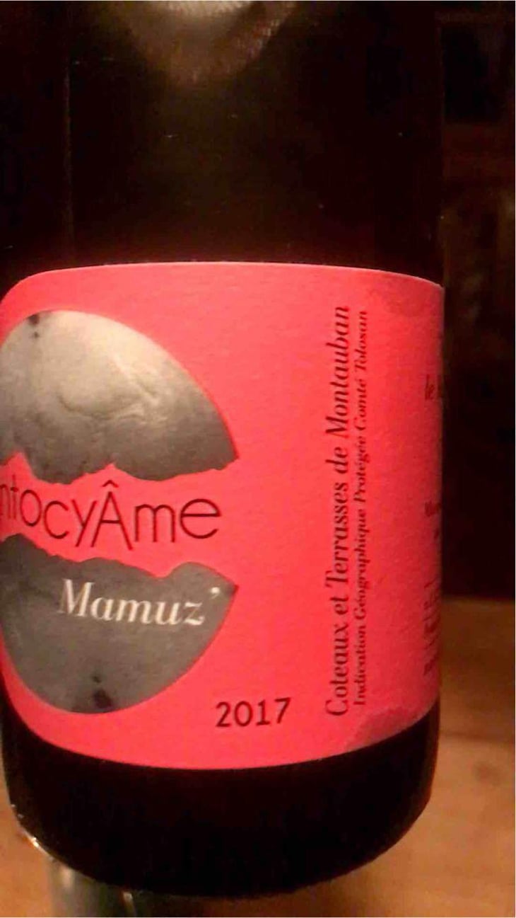 Mamuz - AntocyÂme - Muriel Zoldan 