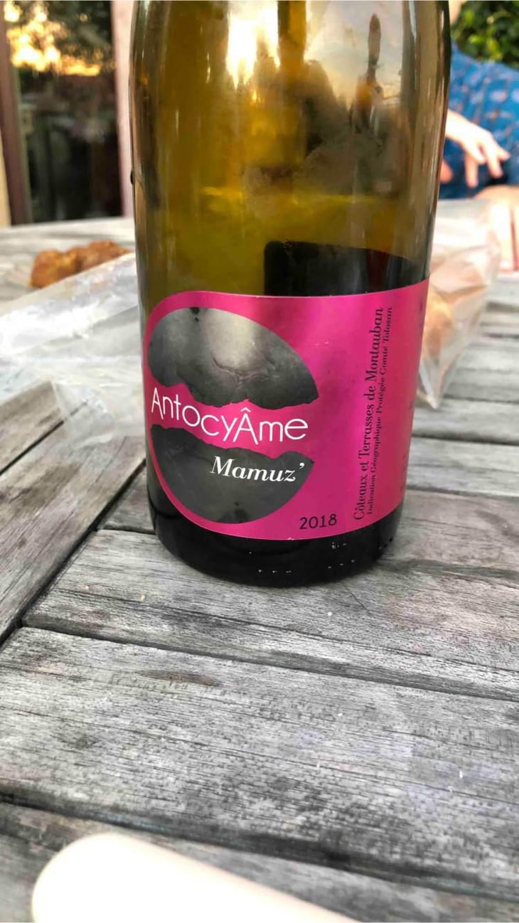 Mamuz - AntocyÂme - Muriel Zoldan 