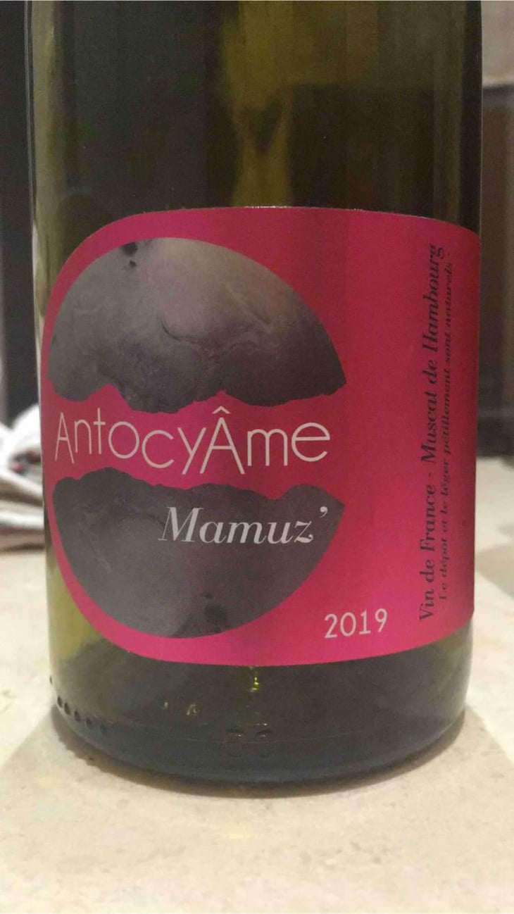 Mamuz - AntocyÂme - Muriel Zoldan 