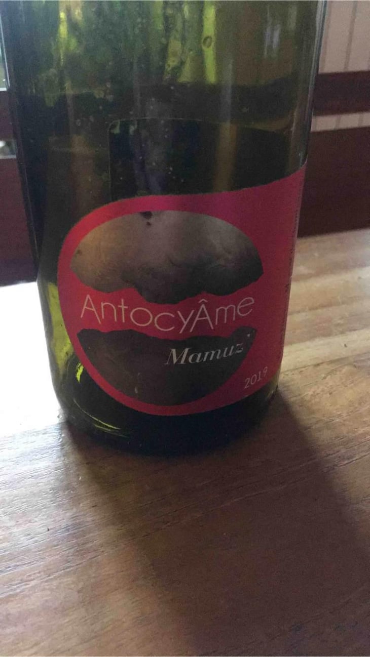 Mamuz - AntocyÂme - Muriel Zoldan 