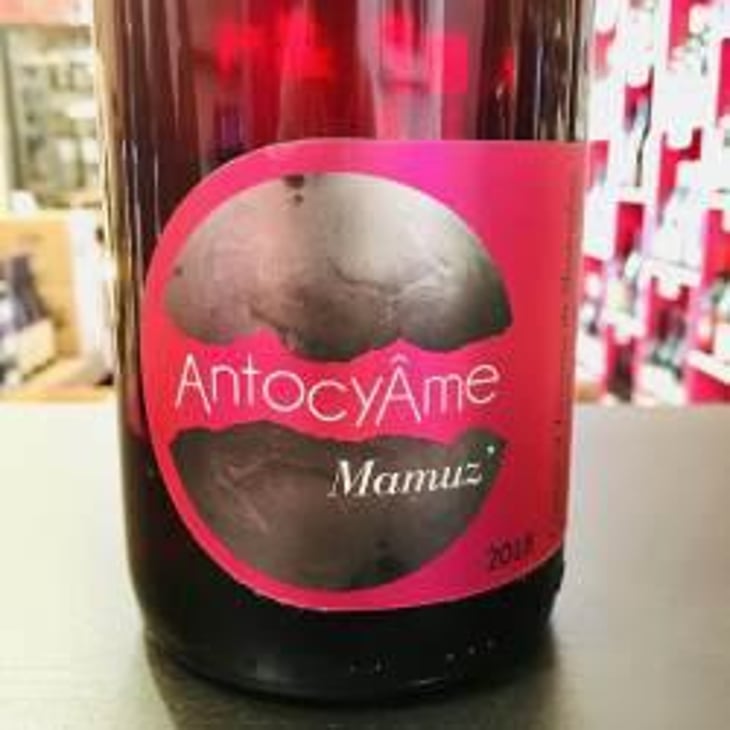 Mamuz - AntocyÂme - Muriel Zoldan 