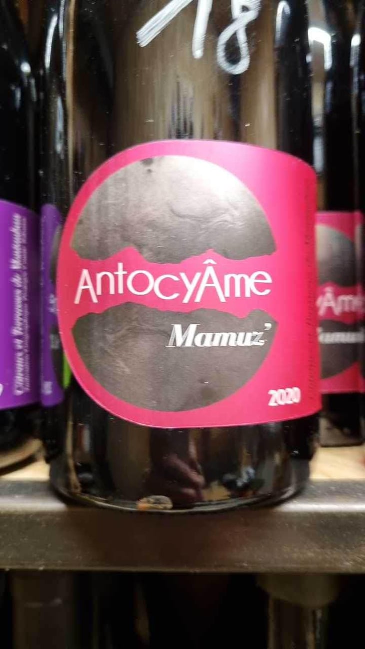 Mamuz - AntocyÂme - Muriel Zoldan 