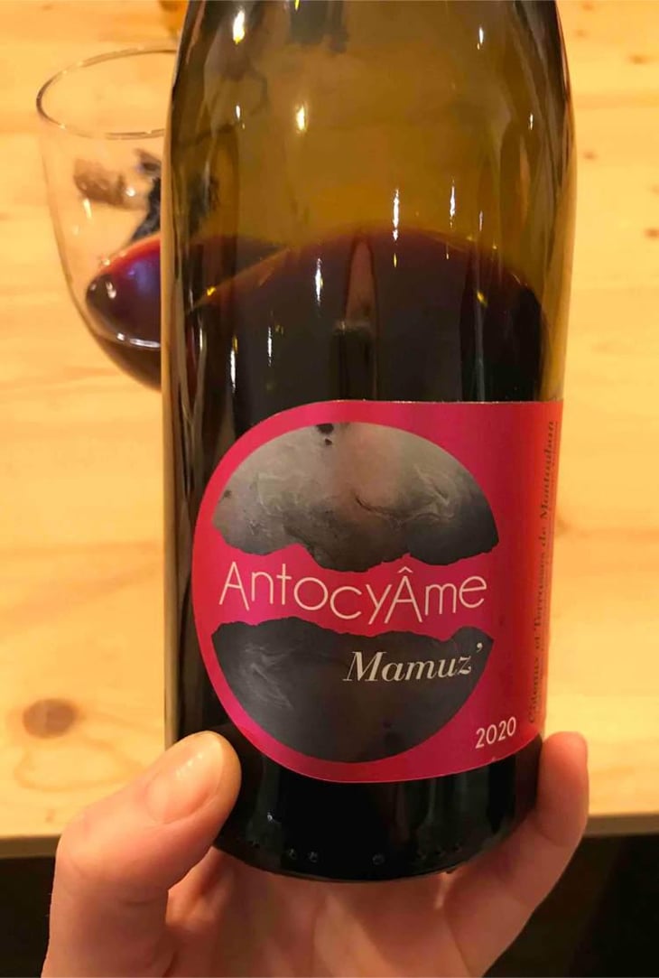 Mamuz - AntocyÂme - Muriel Zoldan 