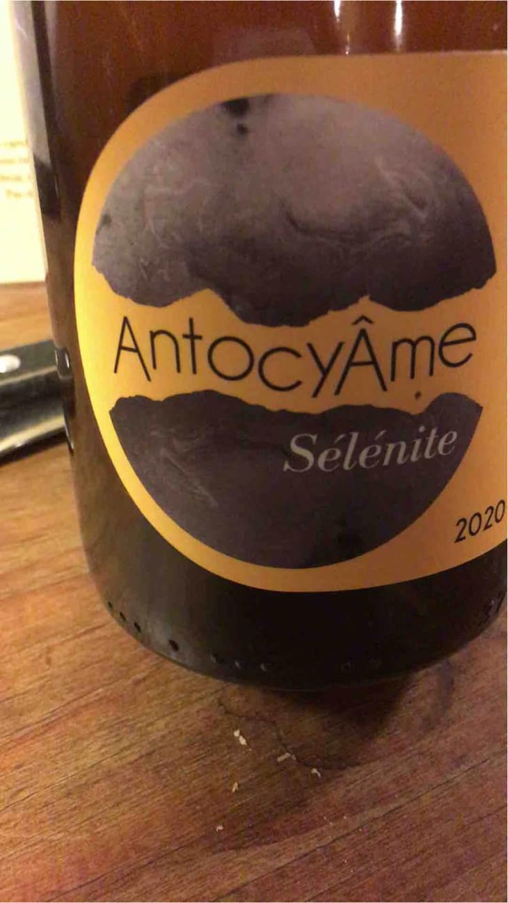 Mamuz - AntocyÂme - Muriel Zoldan 