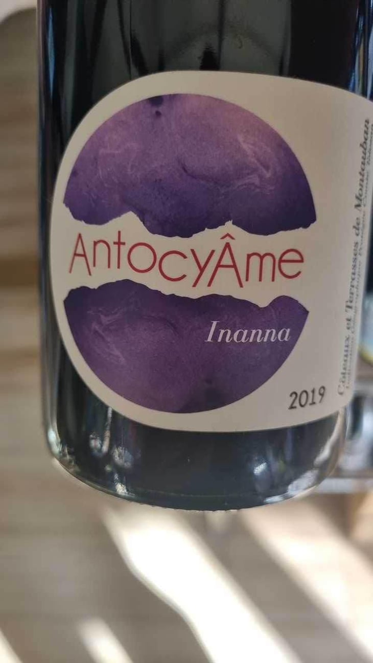 Mamuz - AntocyÂme - Muriel Zoldan 