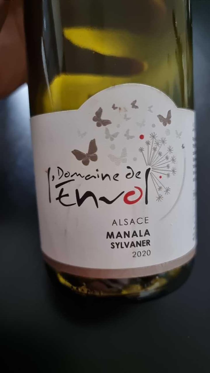 Sylvaner Manala - Domaine De L’envol - Bernard, Manuela, Daniel, Raphaël & Catherine Hirsinger 