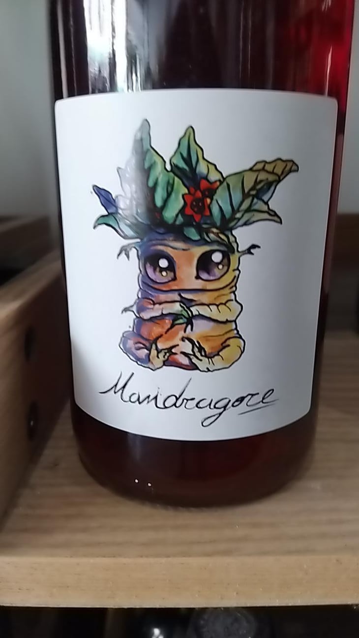 Mandragore - Kambyum - Vincent Christophe -2024