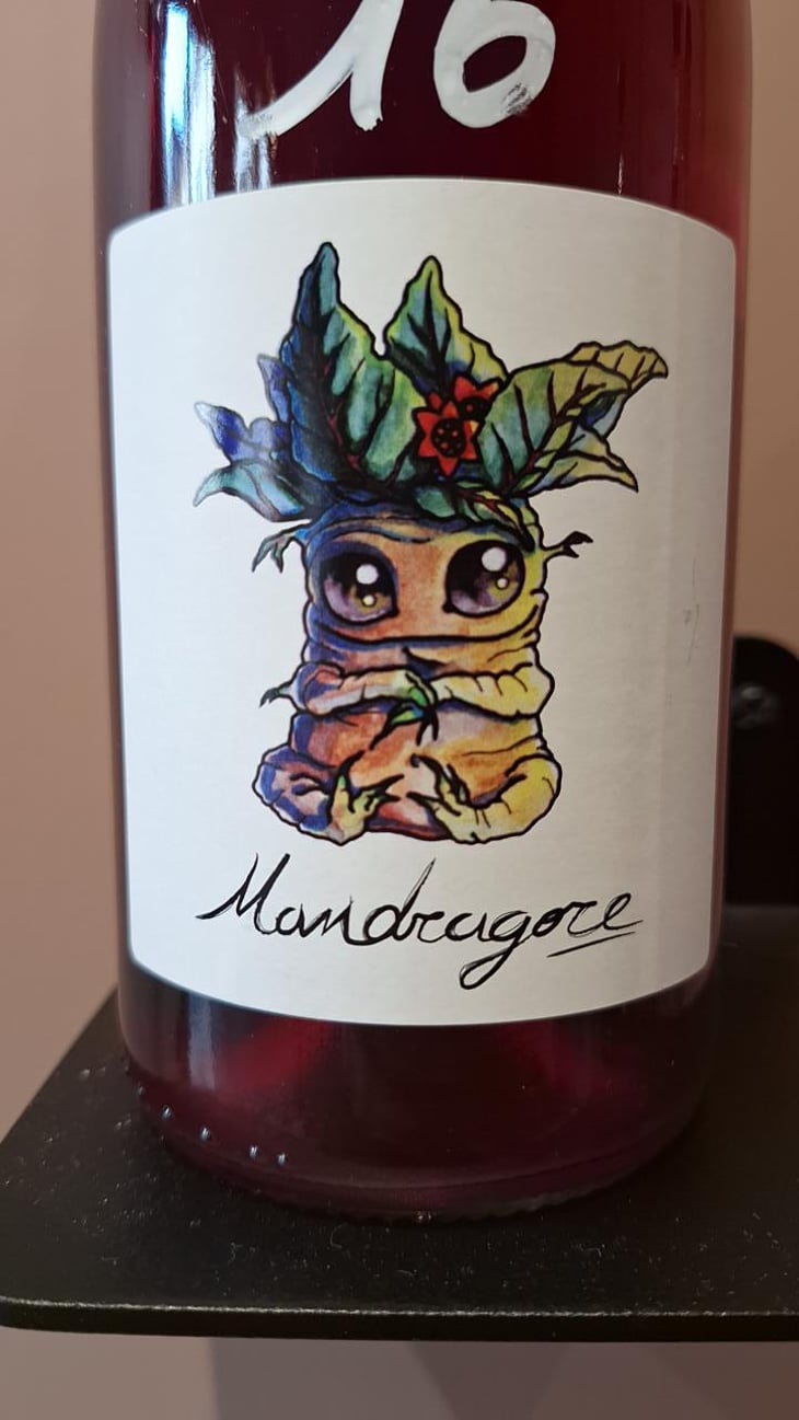 Mandragore - Kambyum - Vincent Christophe -2024