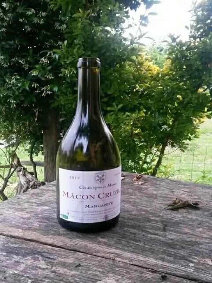 Manganite - Clos des Vignes du Maynes - Julien Guillot 