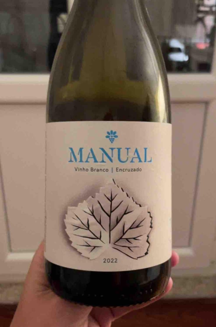 Manual - Manual Wines - José Gabriel Costa -2022
