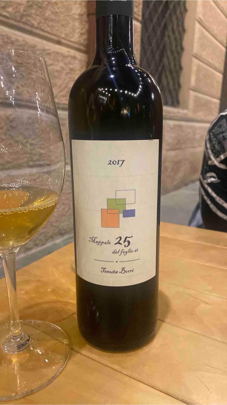 Mappale 25 del Foglio 61 - Tenuta Borri - Andrea Pradelli -2017