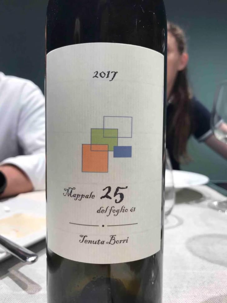 Mappale 25 del Foglio 61 - Tenuta Borri - Andrea Pradelli -2017