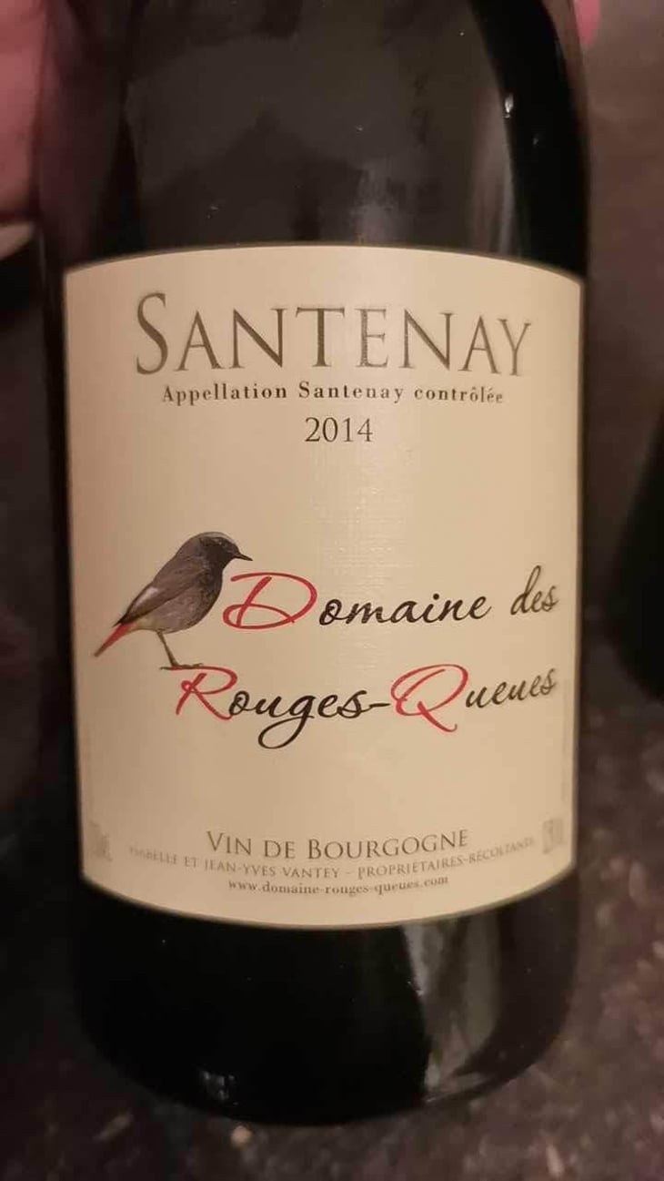 Maranges 2016 - Domaine des Rouges-Queues - Isabelle & Jean-Yves Vantey 