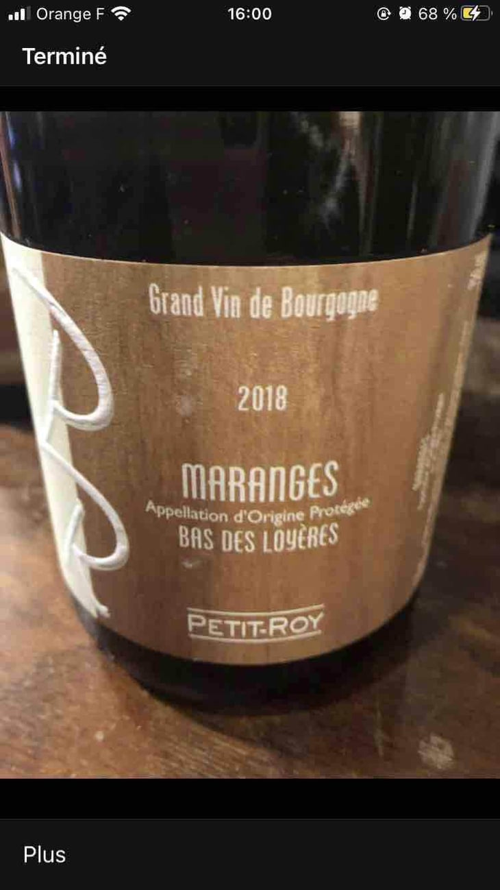 Maranges "Bas des Loyères" - Domaine Petit-Roy - Seiichi Saito 