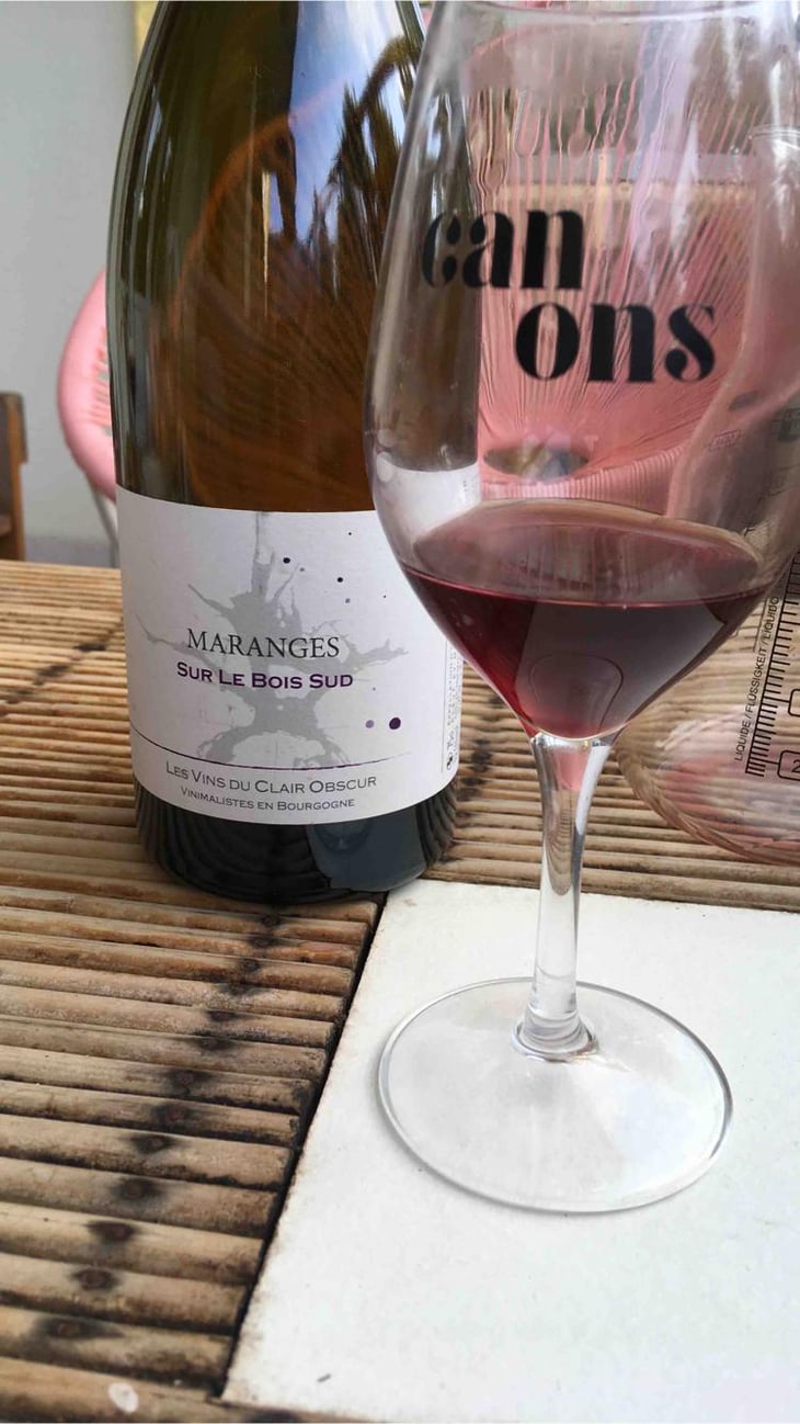 Sur Le Bois Sud - Domaine du Clair Obscur - Jennifer et Pierre Clair 