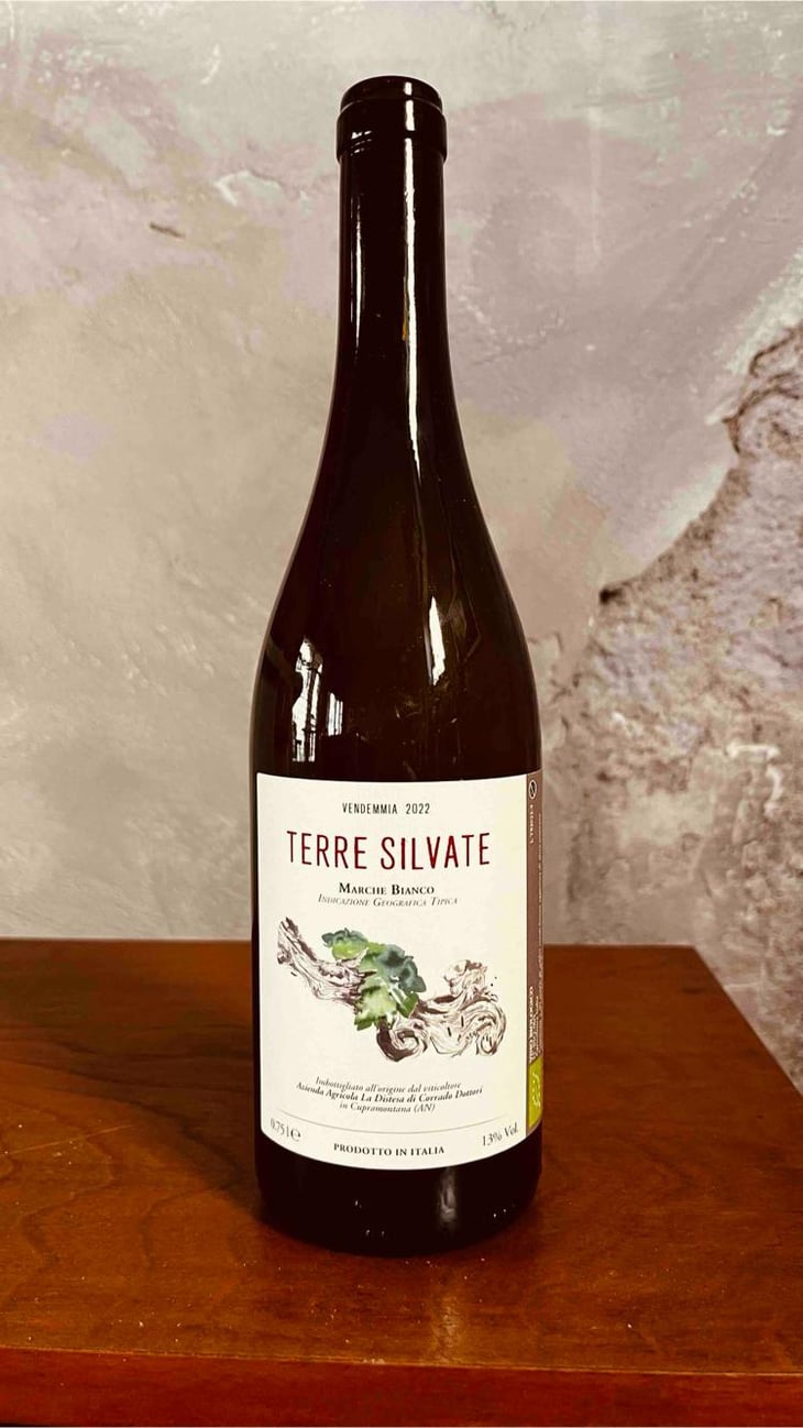 Terre Silvate - La Distesa - Corrado Dottori 