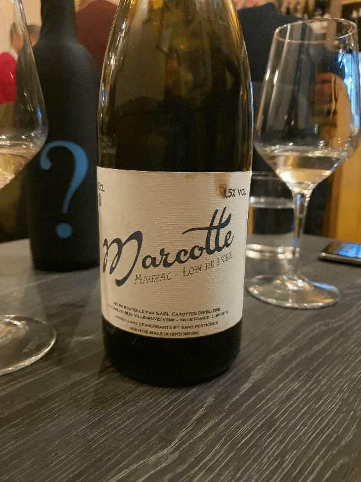 Marcotte (blanc) - Distillerie et Domaine Cazottes - Laurent Cazottes 