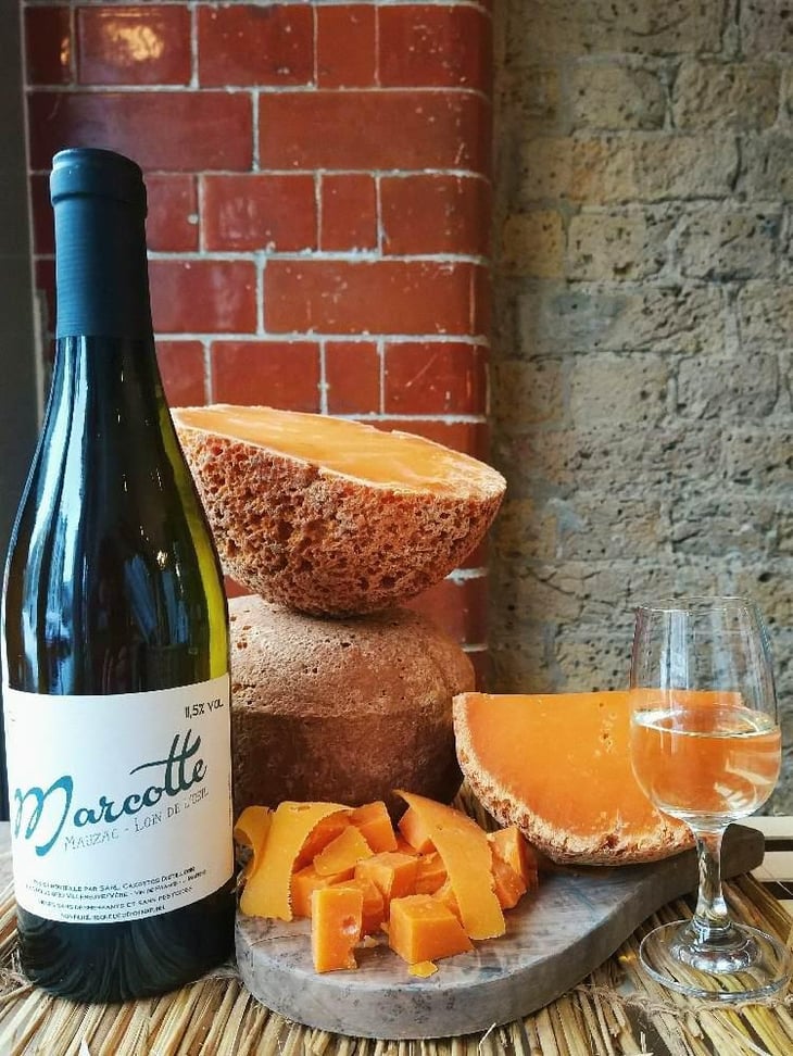 Marcotte (blanc) - Distillerie et Domaine Cazottes - Laurent Cazottes 