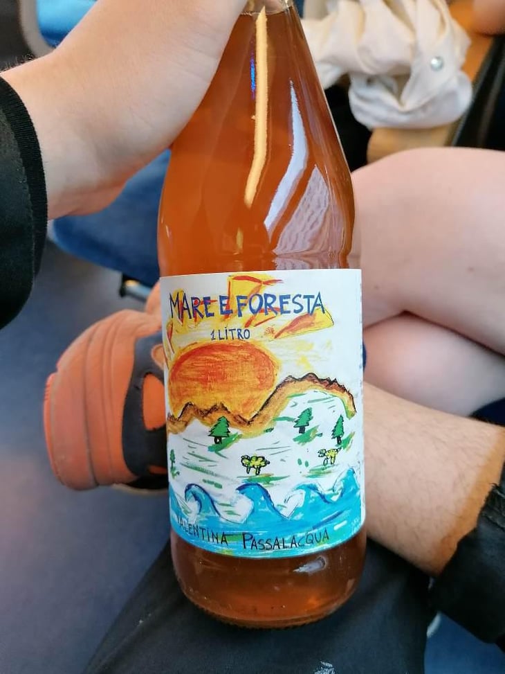 Mare E Foresta - Valentina Passalacqua - Valentina Passalacqua 
