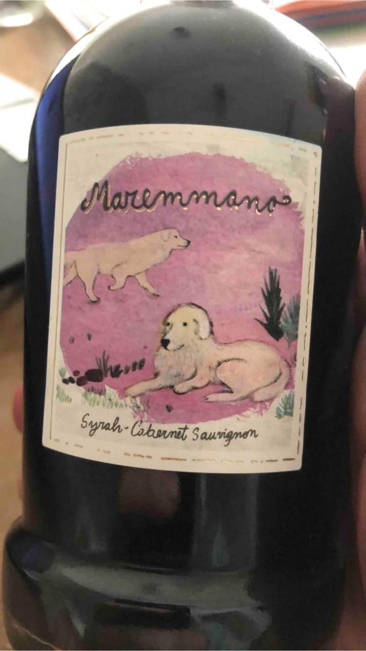 Maremmano - Animal - Ernesto Catena -2020