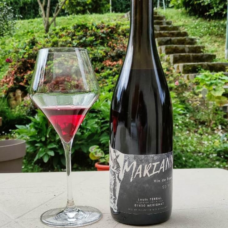 Marianne - Domaine Louis Terral - Louis Terral 