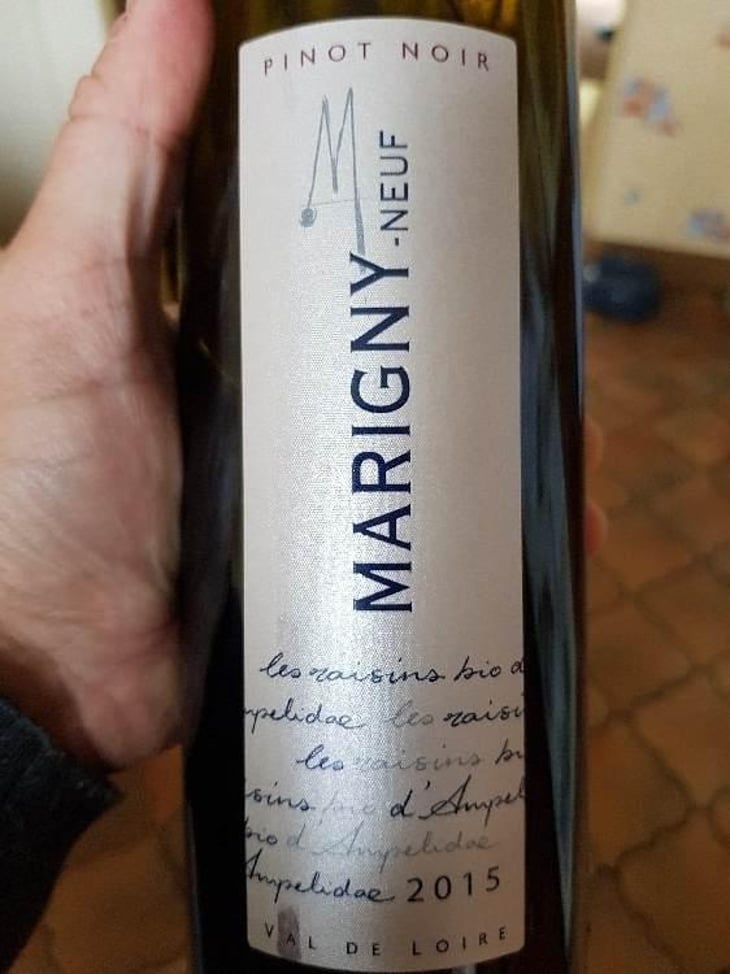 Marigny Neuf Pinot Noir - Domaine Ampelidae - Frédéric Brochet 