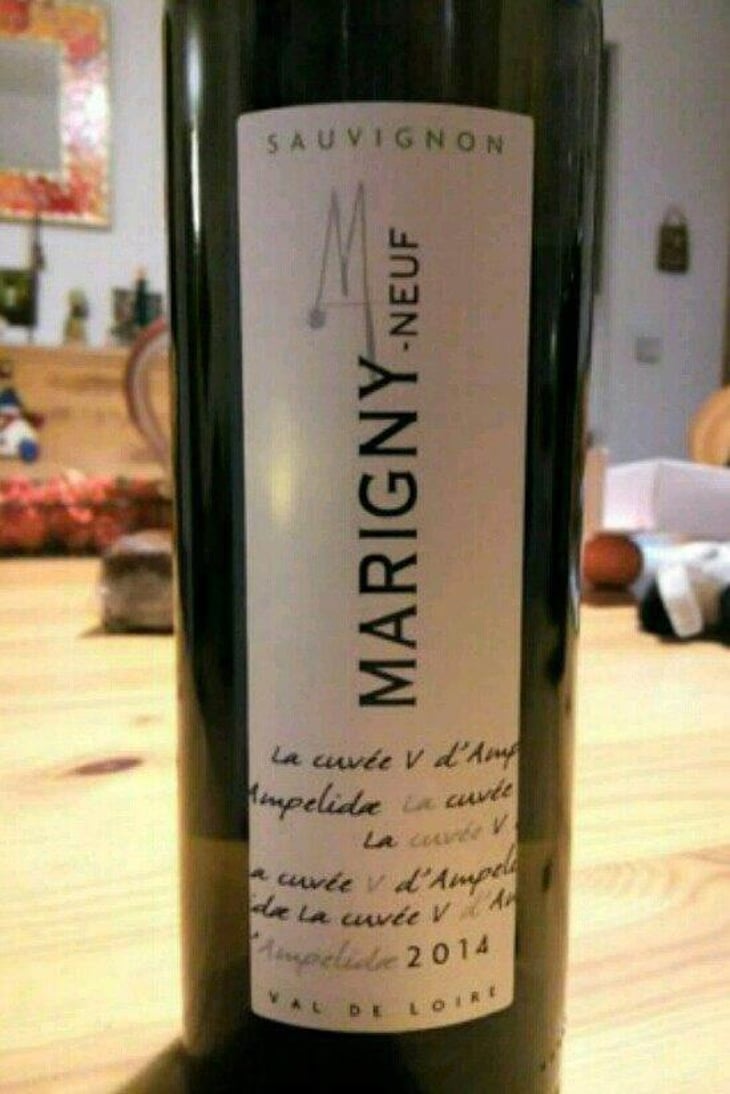 Marigny-Neuf Sauvignon - Domaine Ampelidae - Frédéric Brochet 