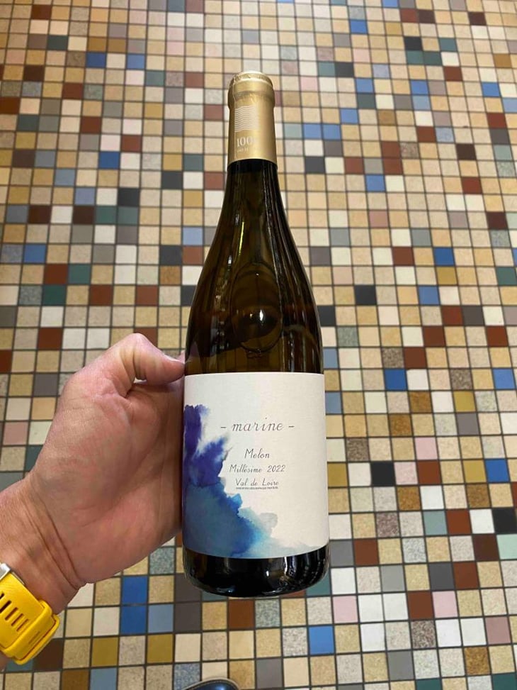 Marine - 1006 Vins de Loire - Pauline Lair 