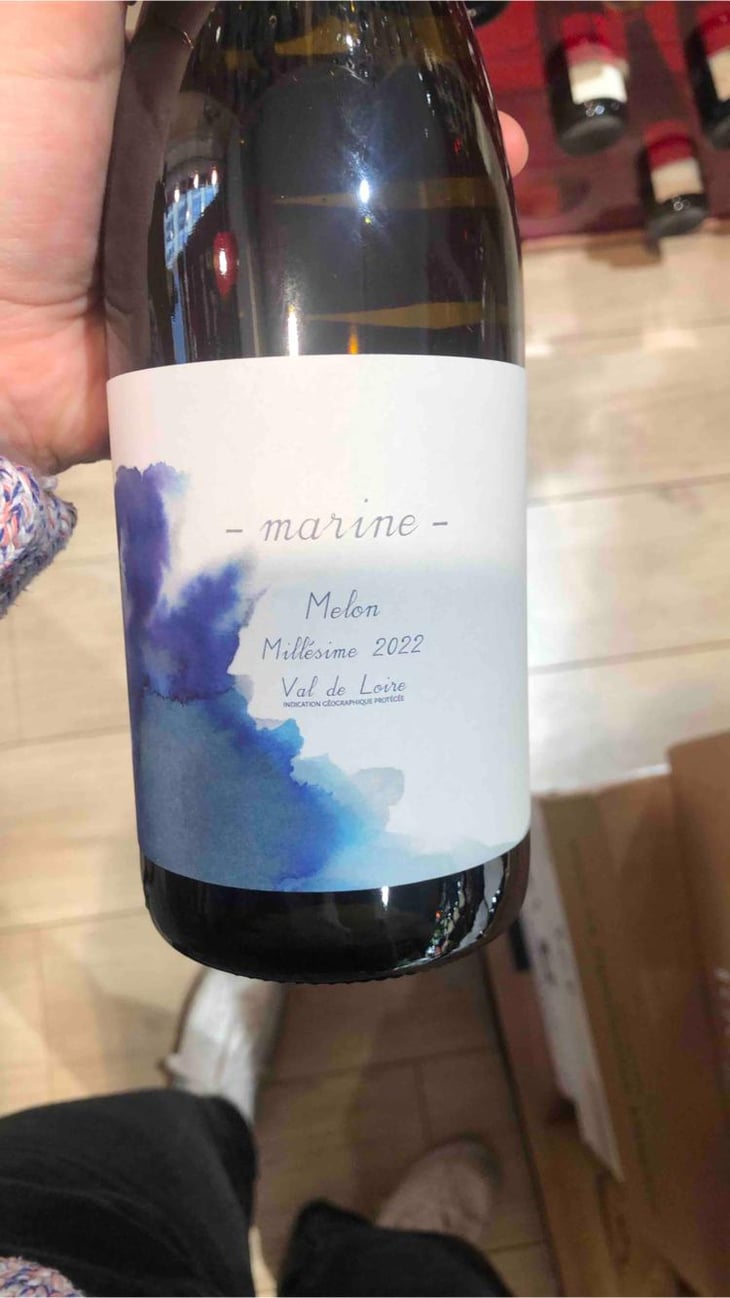Marine - 1006 Vins de Loire - Pauline Lair 