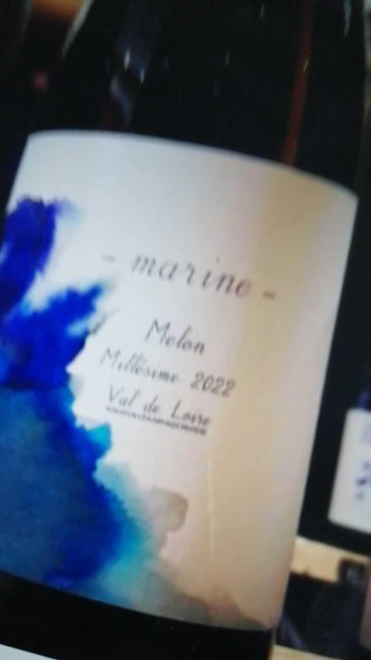 Marine - 1006 Vins de Loire - Pauline Lair 