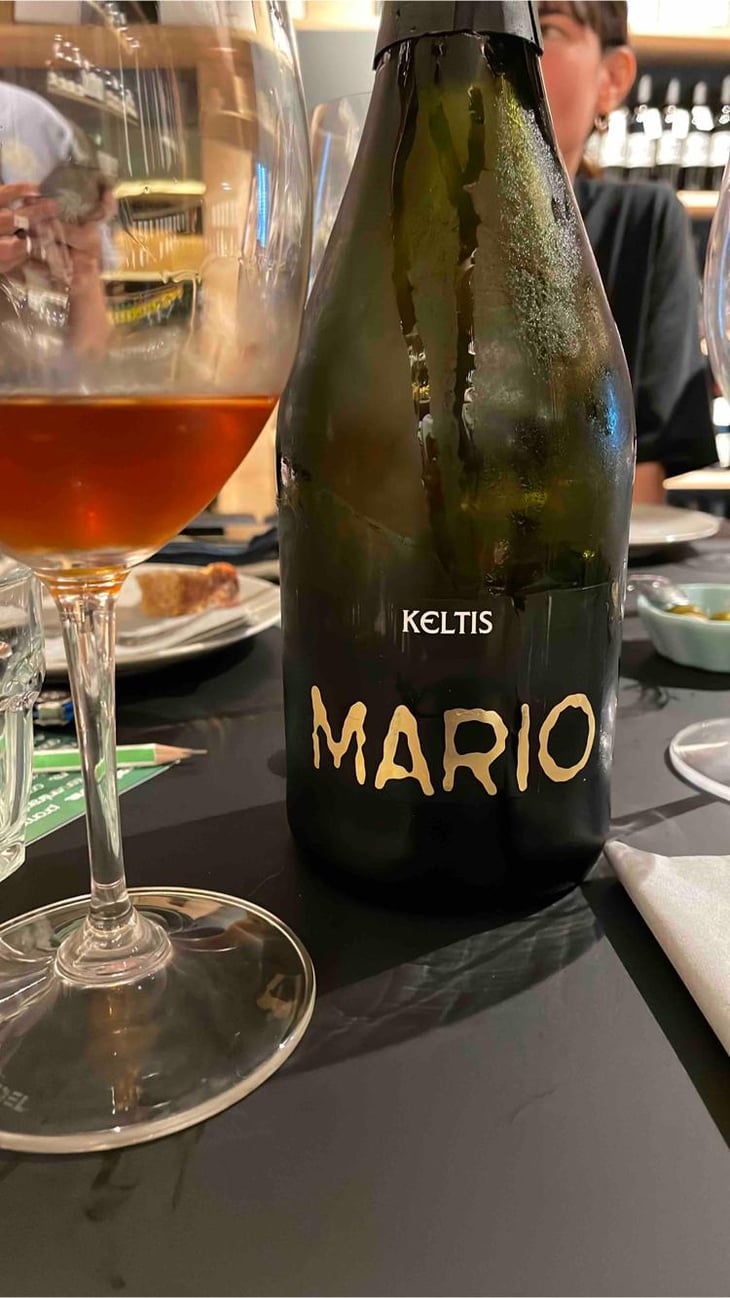 Mario Extreme - Keltis - Miha Kelhar -2014