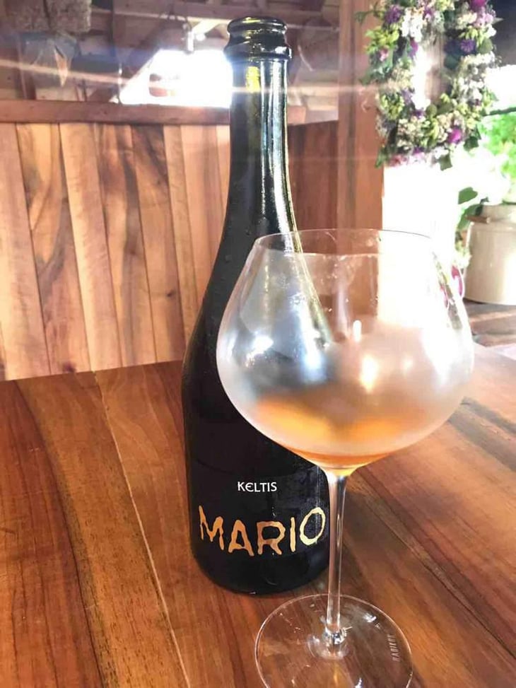 Mario - Keltis - Miha Kelhar 