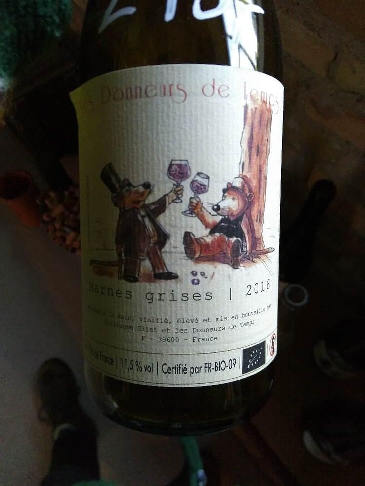 Marnes Grises - Les Donneurs de Temps - Guillaume Gilet 