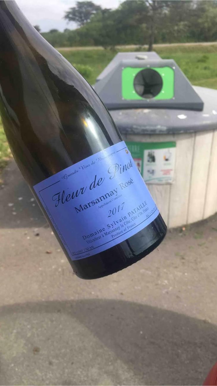 Marsannay "Fleur de Pinot" Rosé - Sylvain Pataille - Sylvain Pataille 