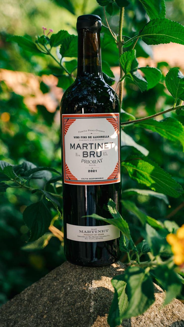 Martinet Bru - Family Wine - Familia Perez Ovejero -2009