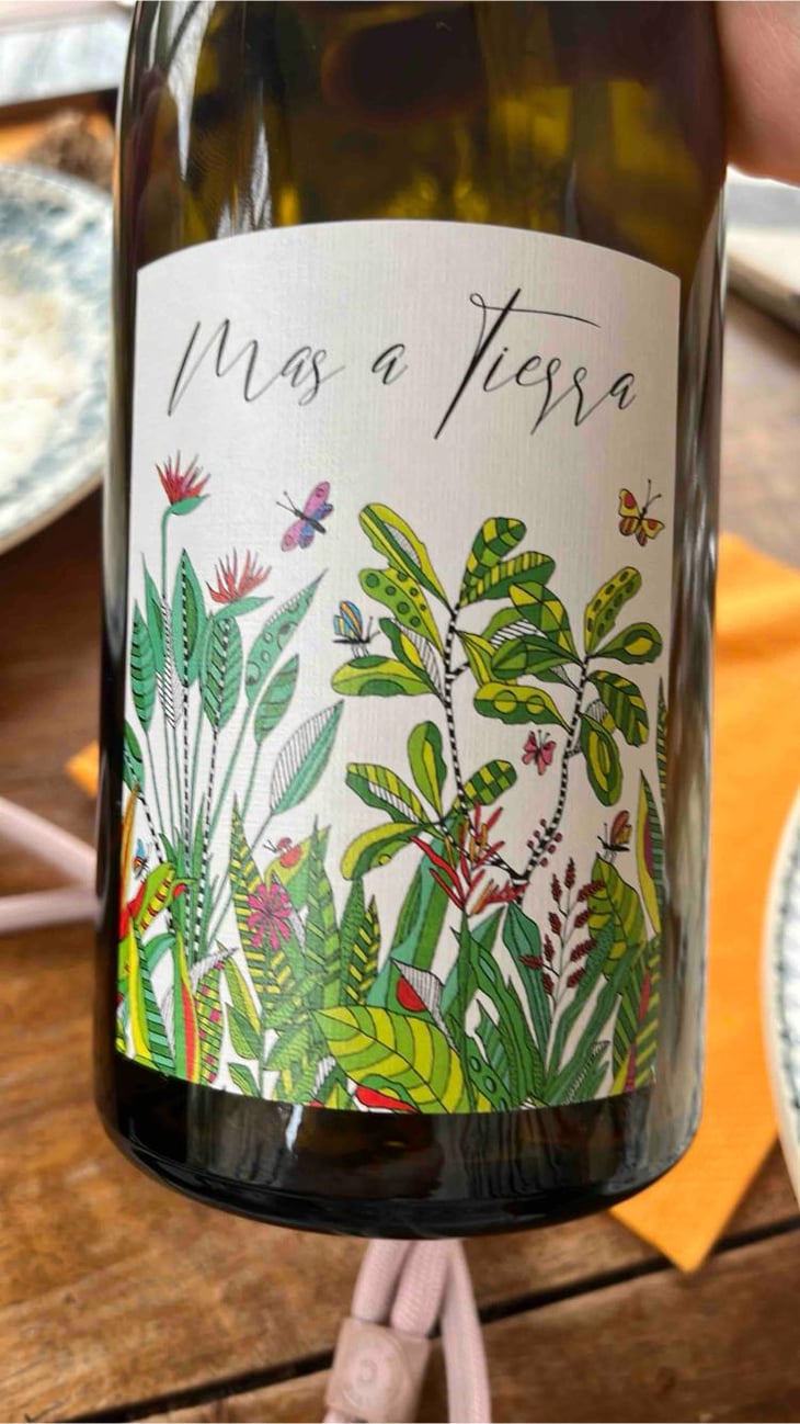 Mas a Tierra - Domaine de la Petite Empreinte - Mélissa Bazin & Romain De Moor -2022