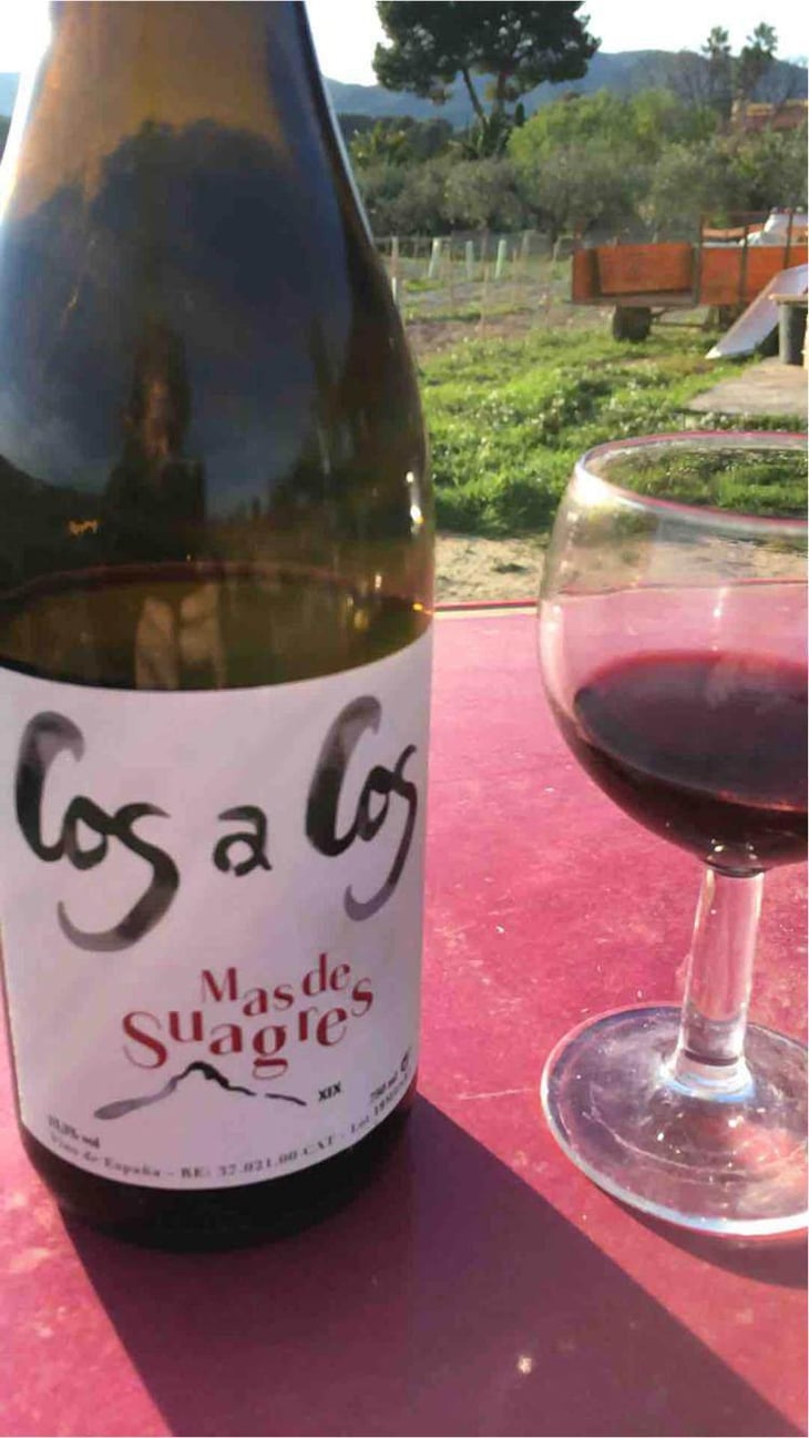 Mas de Suagres Red - Celler Cos A Cos - Cristobal Vanyo Beneyto 