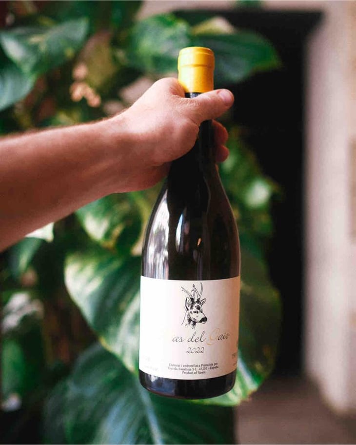 Mas del Gaio - Celler Escoda Sanahuja - Joan Ramón Escoda Martinez 