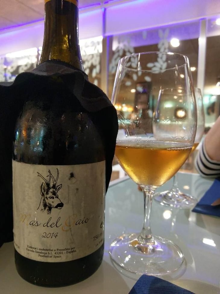 Mas del Gaio - Celler Escoda Sanahuja - Joan Ramón Escoda Martinez 