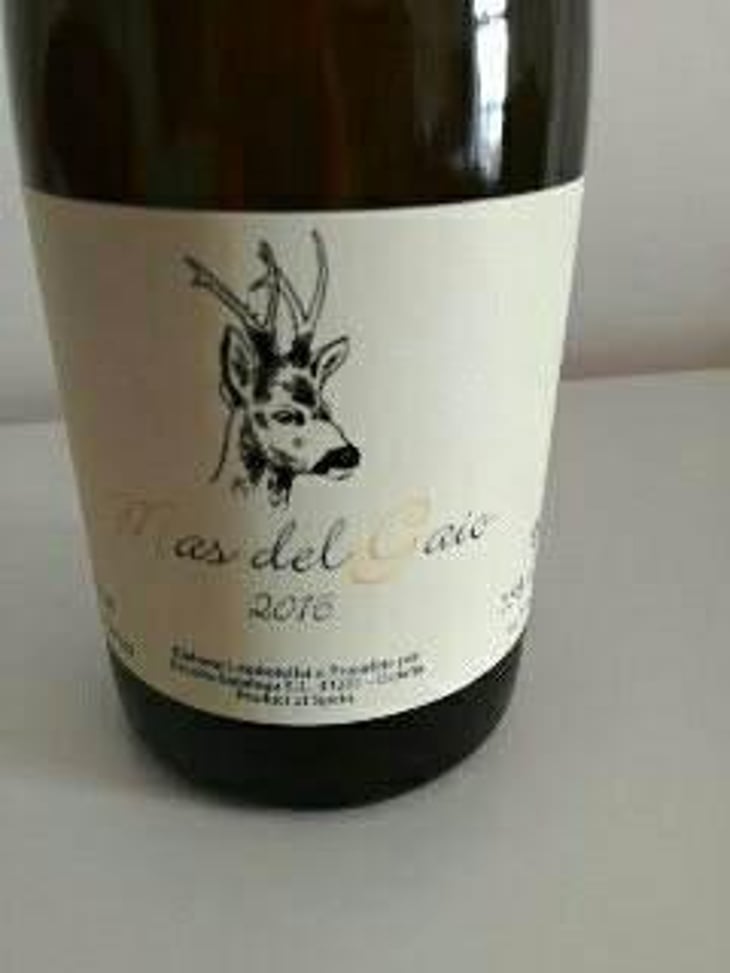 Mas del Gaio - Celler Escoda Sanahuja - Joan Ramón Escoda Martinez 
