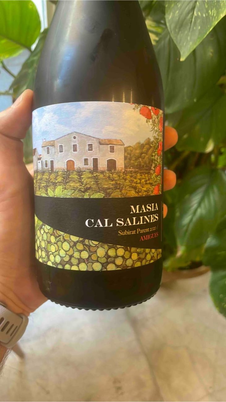 Masia Cal Salines - Cal Teixidor - Josep Casañas 