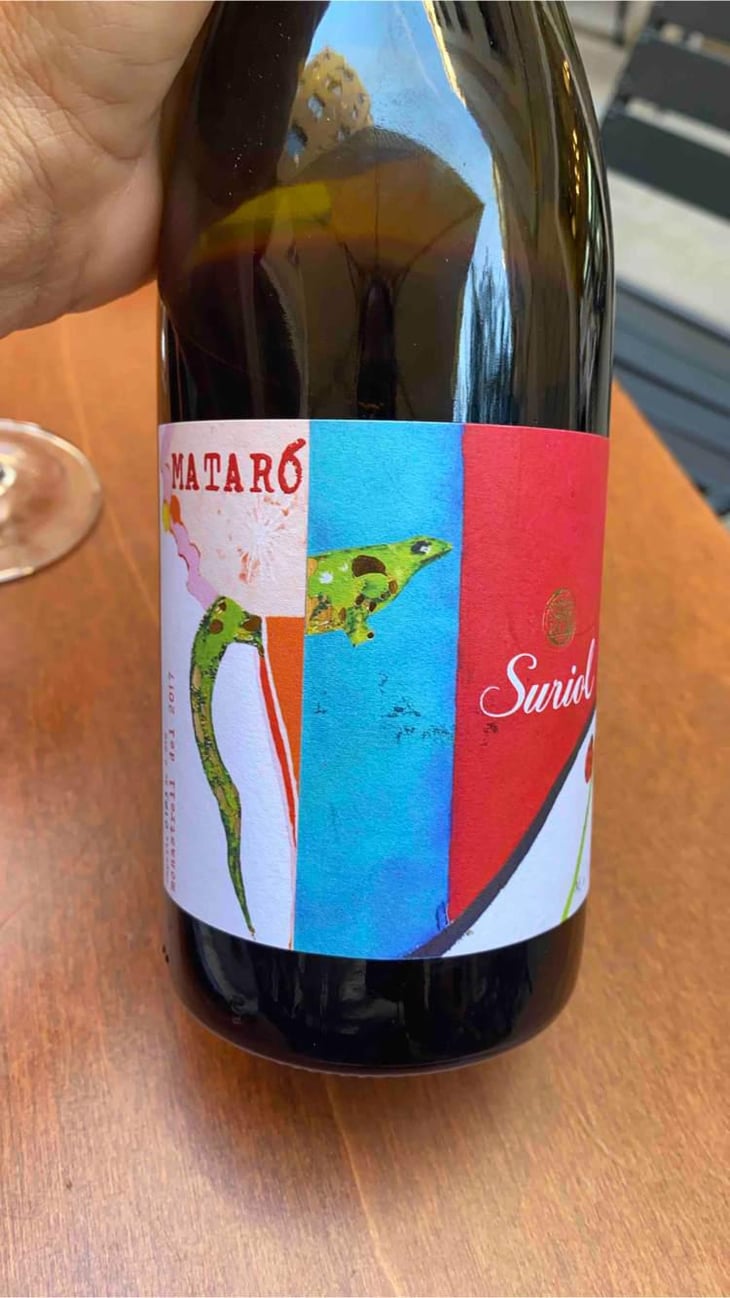 Mataró - Cellers de Can Suriol del Castell - Azimut - Assis Suriol 